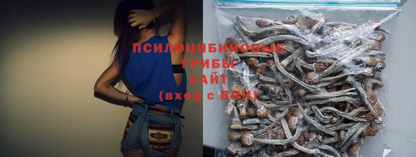 ешки Бикин